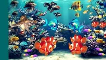 Met bloggen blijf je de concurrent voor